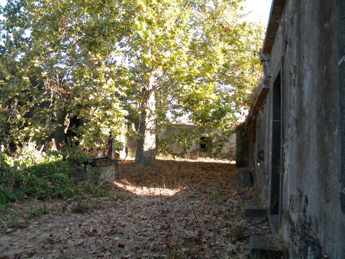 DSCN8026 .JPG